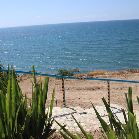 Maroni Summer Dream Cyprus מראה חיצוני תמונה