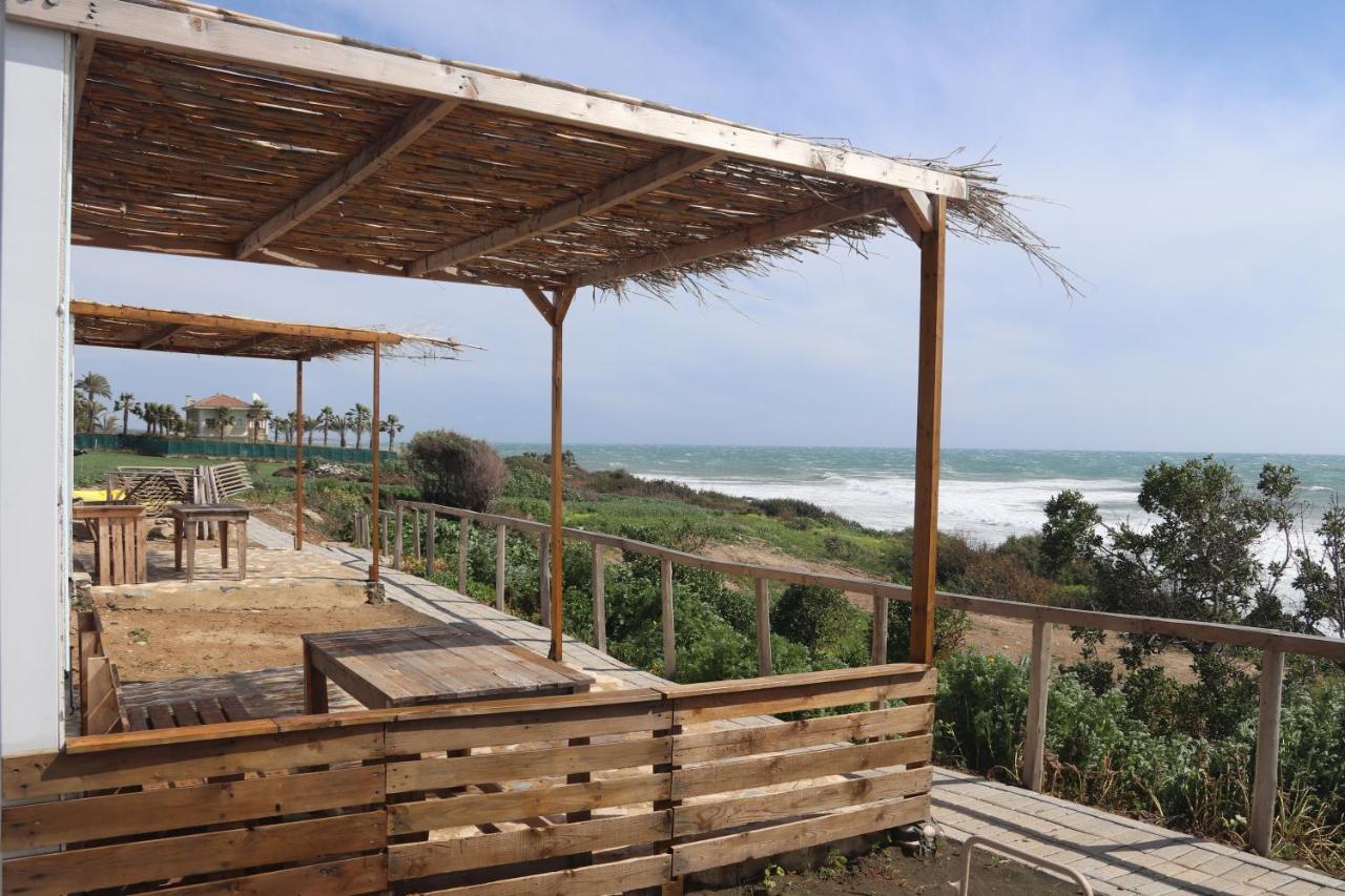 Maroni Summer Dream Cyprus מראה חיצוני תמונה