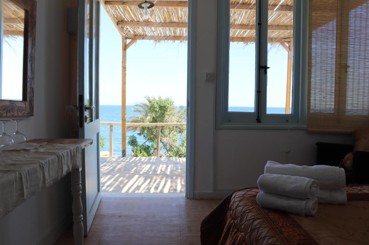 Maroni Summer Dream Cyprus מראה חיצוני תמונה