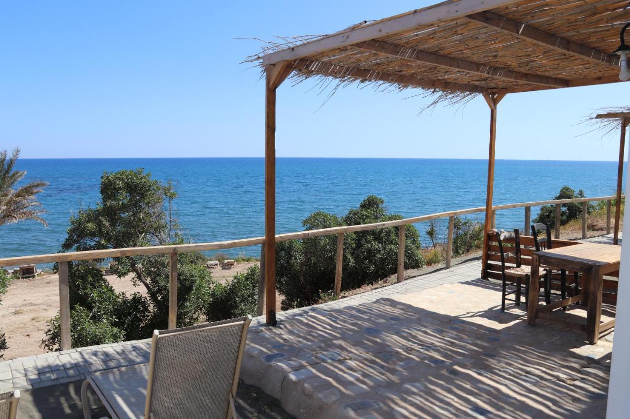 Maroni Summer Dream Cyprus מראה חיצוני תמונה