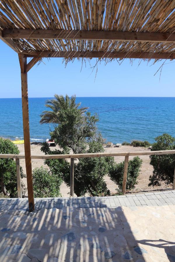 Maroni Summer Dream Cyprus מראה חיצוני תמונה