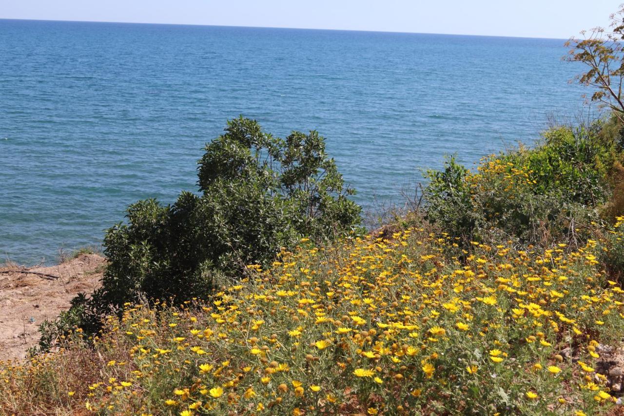 Maroni Summer Dream Cyprus מראה חיצוני תמונה