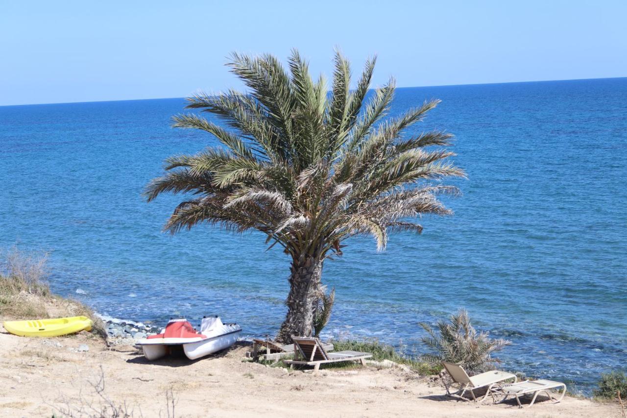 Maroni Summer Dream Cyprus מראה חיצוני תמונה