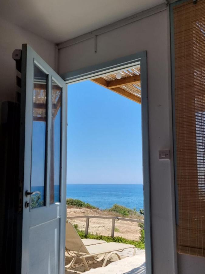 Maroni Summer Dream Cyprus מראה חיצוני תמונה