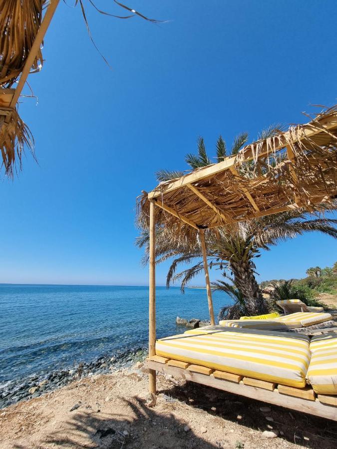 Maroni Summer Dream Cyprus מראה חיצוני תמונה