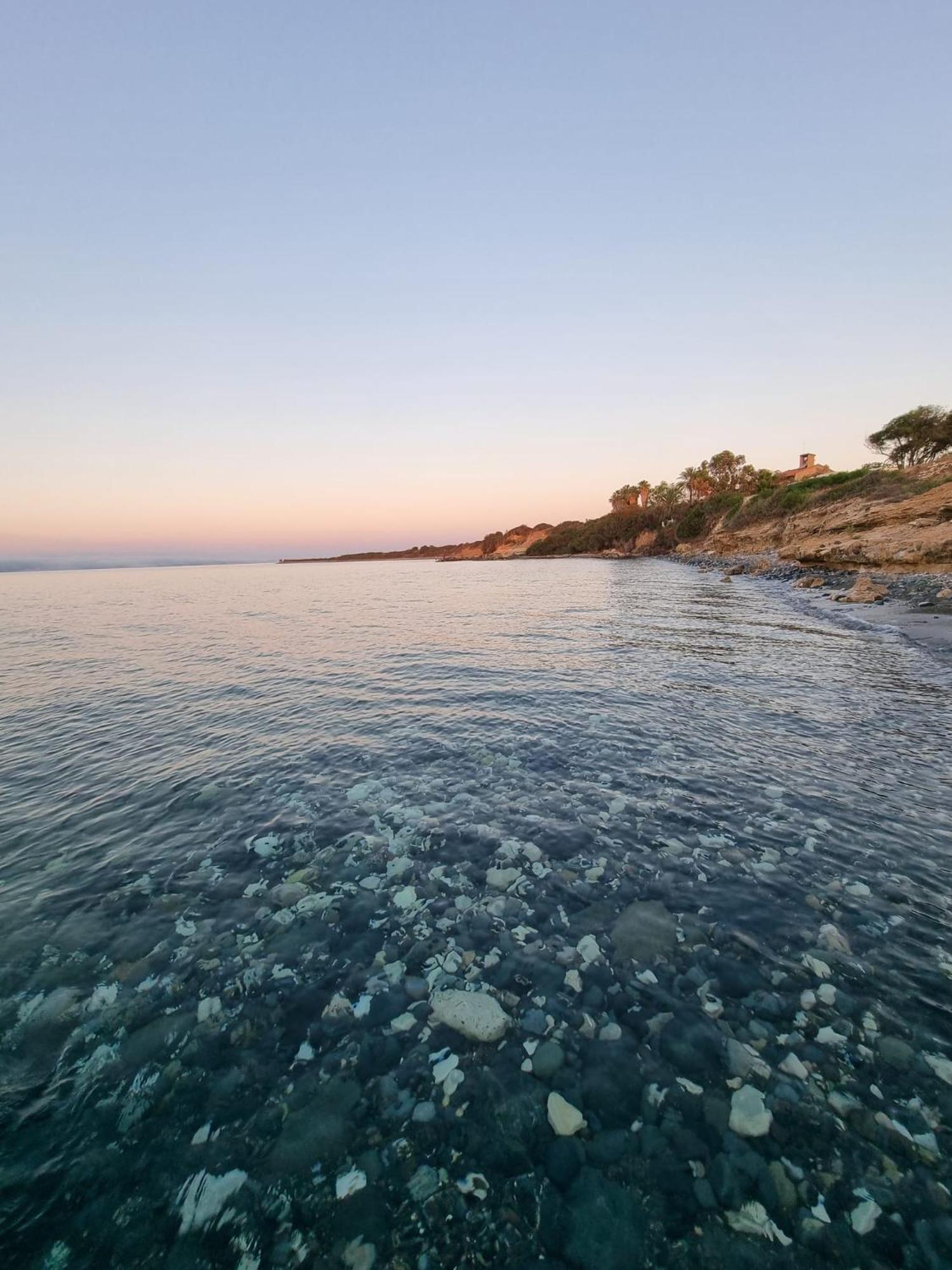 Maroni Summer Dream Cyprus מראה חיצוני תמונה