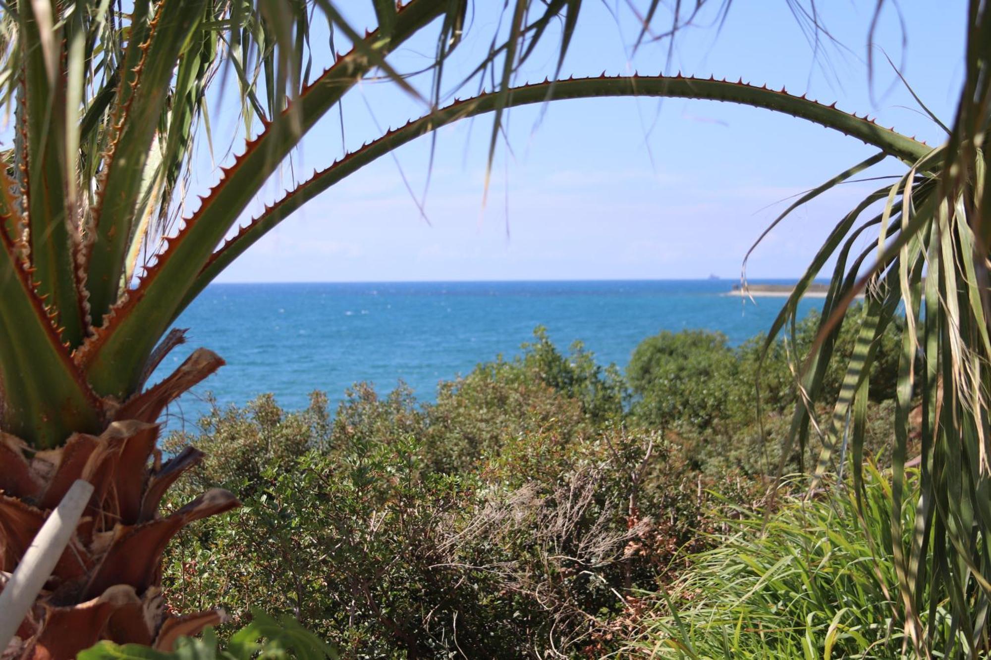 Maroni Summer Dream Cyprus מראה חיצוני תמונה